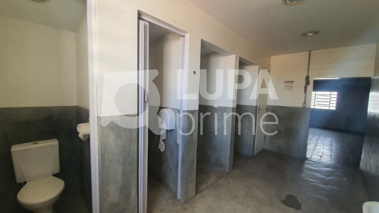 predio-locacao-sao-paulo-santana-650m2-LS37041