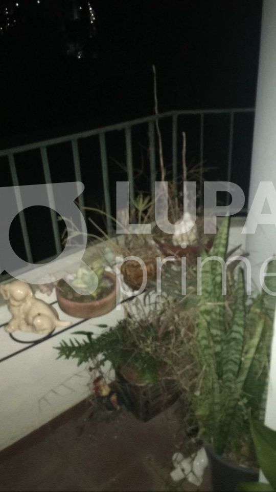 apartamento-venda-sao-paulo-mandaqui-2dormitorios-1suite-1vaga-90m2-LS37094