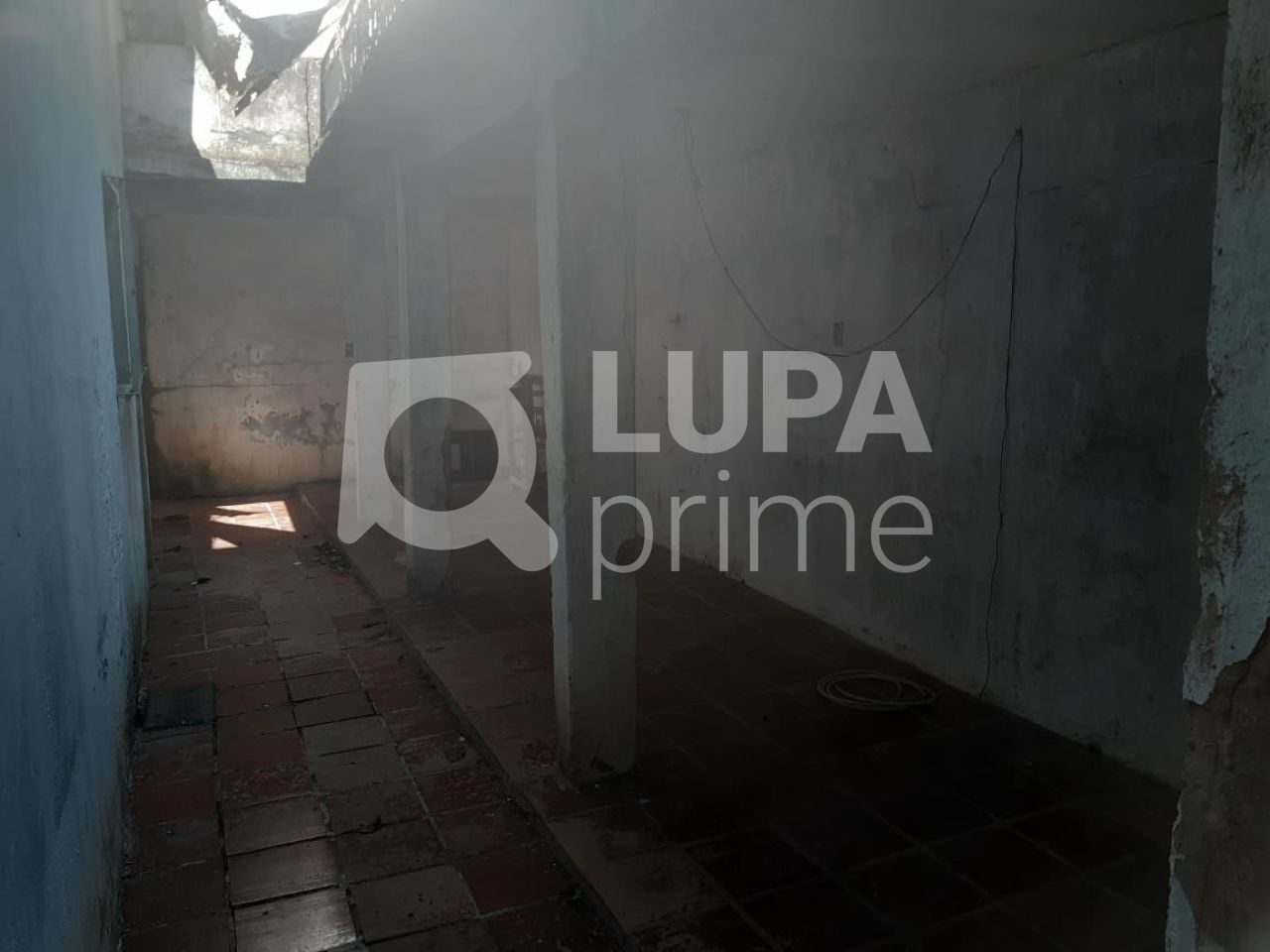 casa-terrea-venda-sao-paulo-vila-amalia-3dormitorios-501m2-LS37163