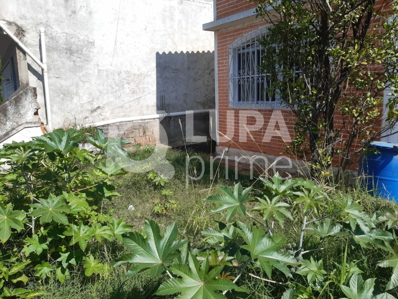 casa-terrea-venda-sao-paulo-vila-amalia-3dormitorios-501m2-LS37163