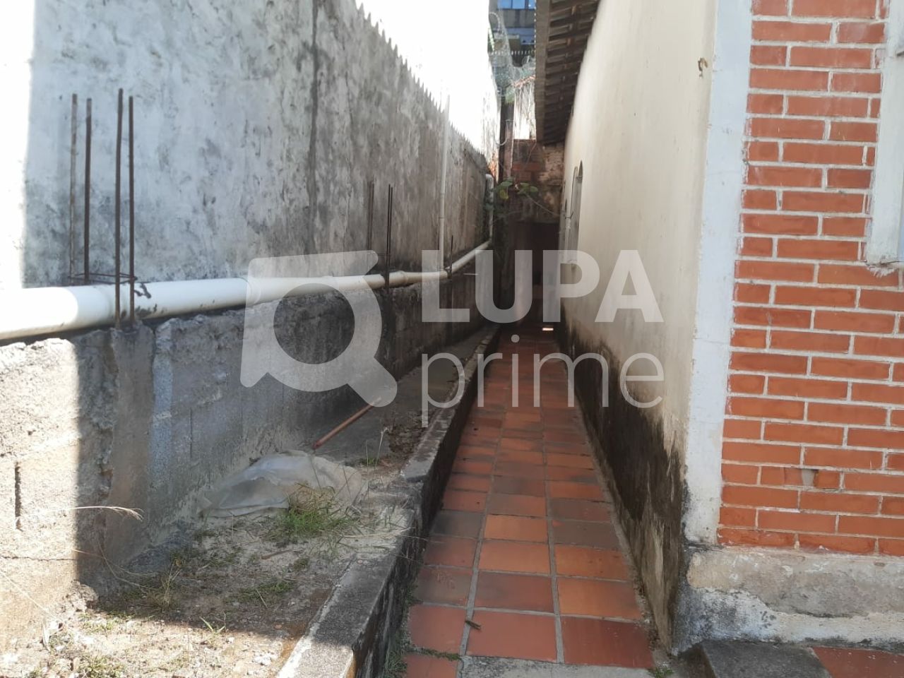 casa-terrea-venda-sao-paulo-vila-amalia-3dormitorios-501m2-LS37163