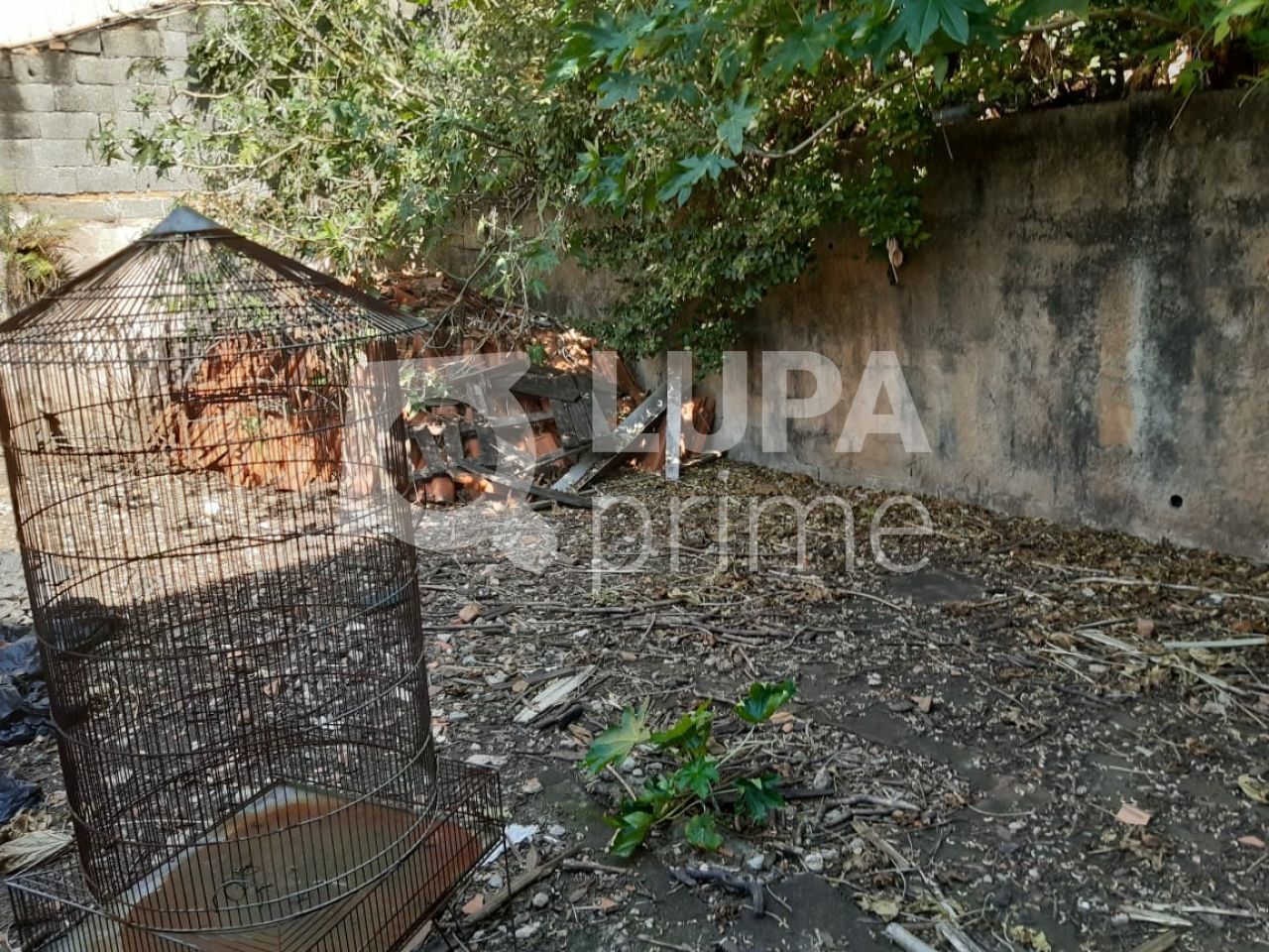 casa-terrea-venda-sao-paulo-vila-amalia-3dormitorios-501m2-LS37163