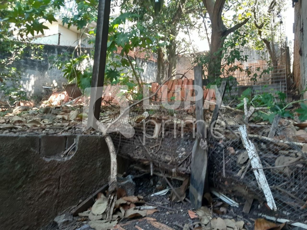 casa-terrea-venda-sao-paulo-vila-amalia-3dormitorios-501m2-LS37163