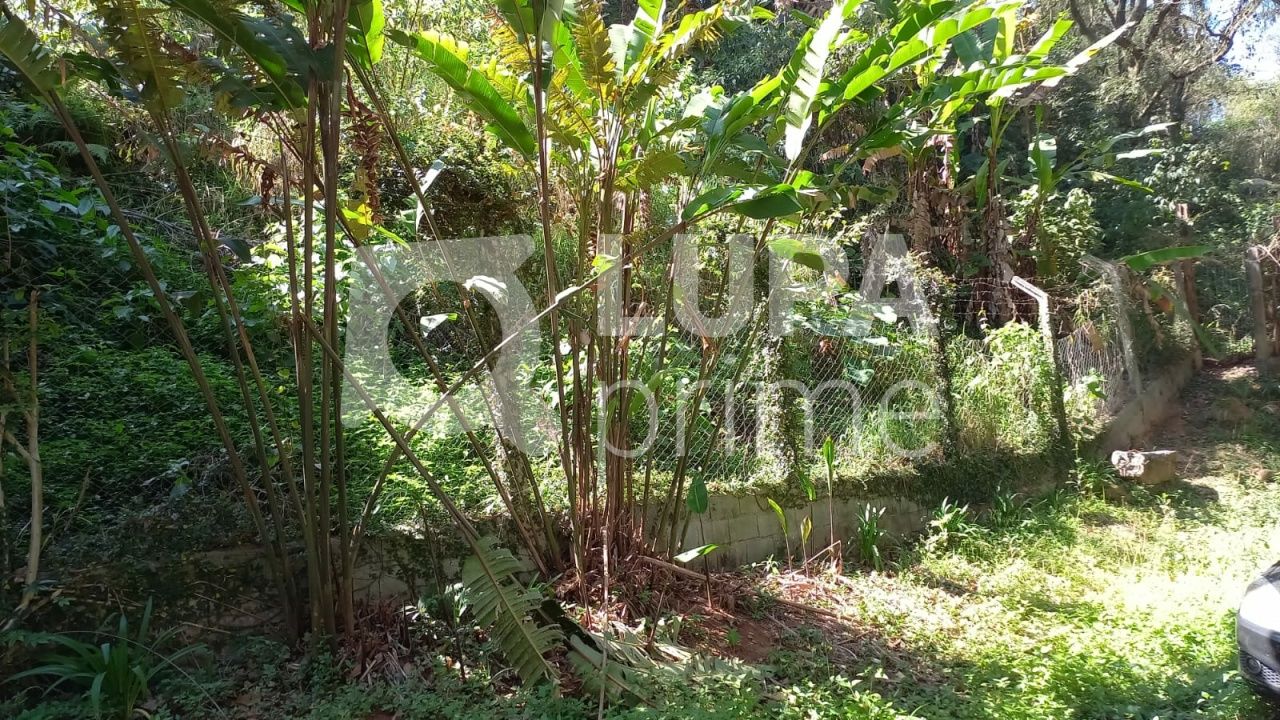 terreno-venda-sao-paulo-vila-irmaos-arnoni-LS37242