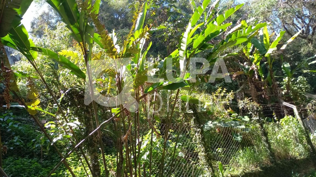 terreno-venda-sao-paulo-vila-irmaos-arnoni-LS37242