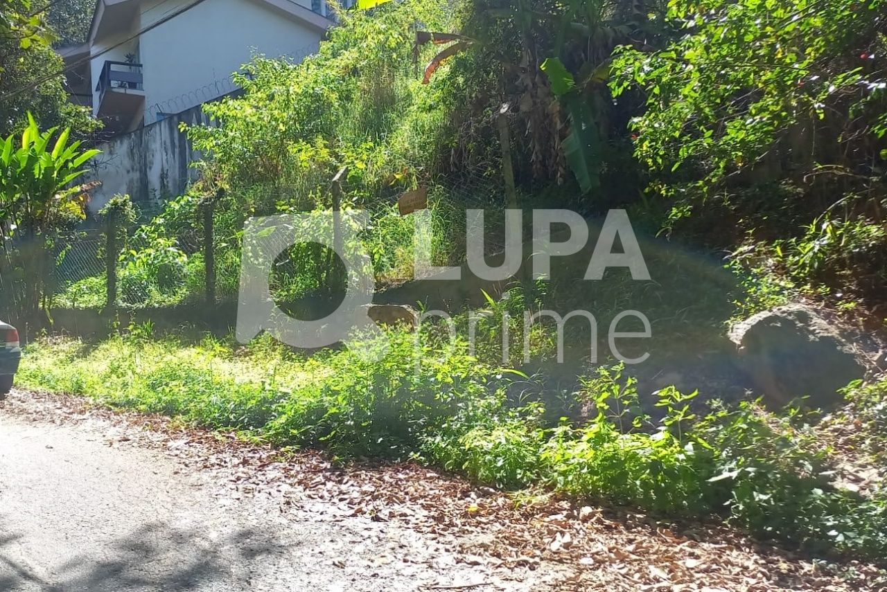 terreno-venda-sao-paulo-vila-irmaos-arnoni-LS37243