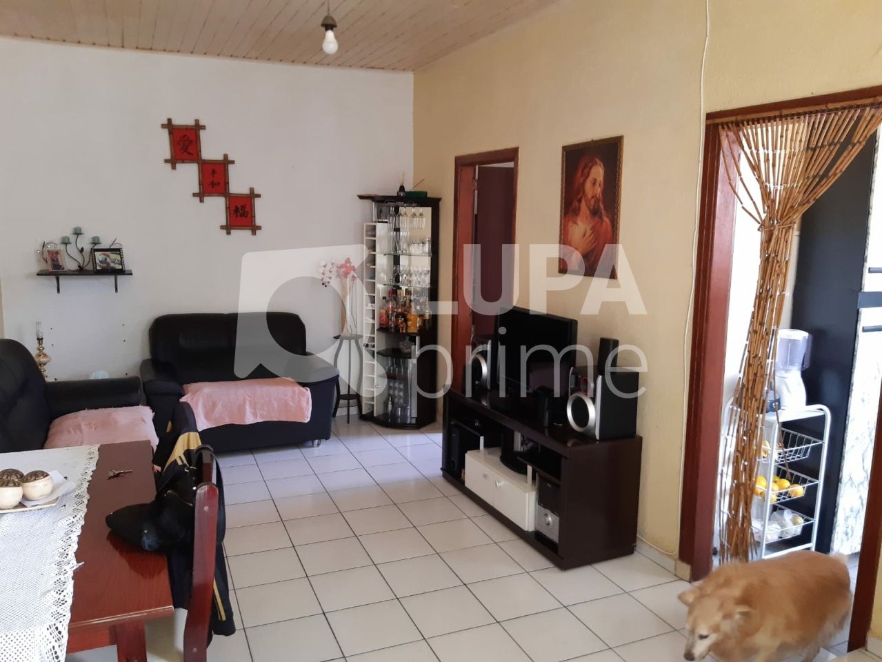 casa-terrea-venda-sao-paulo-vila-gustavo-1dormitorio-232m2-LS37277