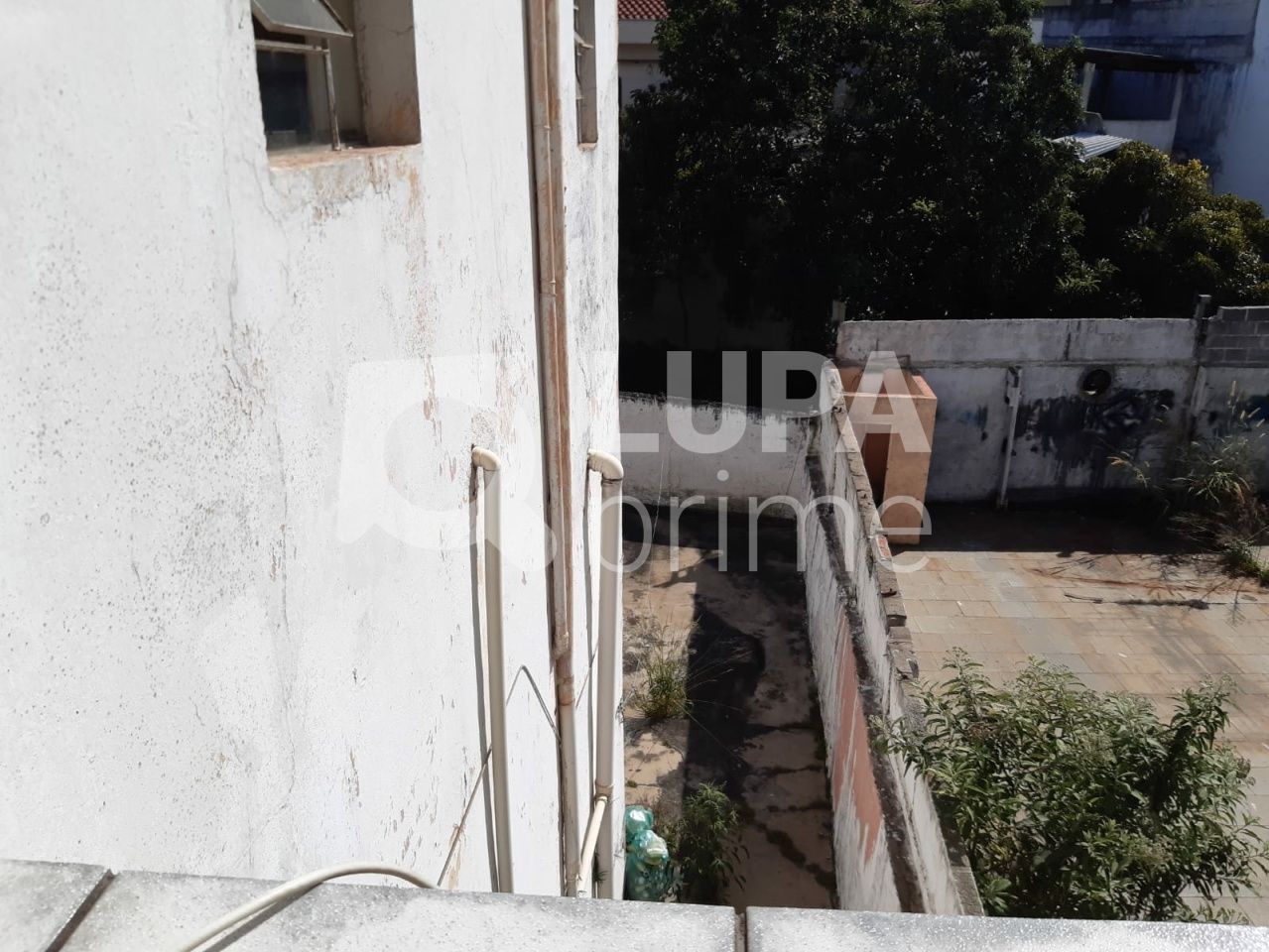 casa-terrea-venda-sao-paulo-vila-gustavo-1dormitorio-232m2-LS37277