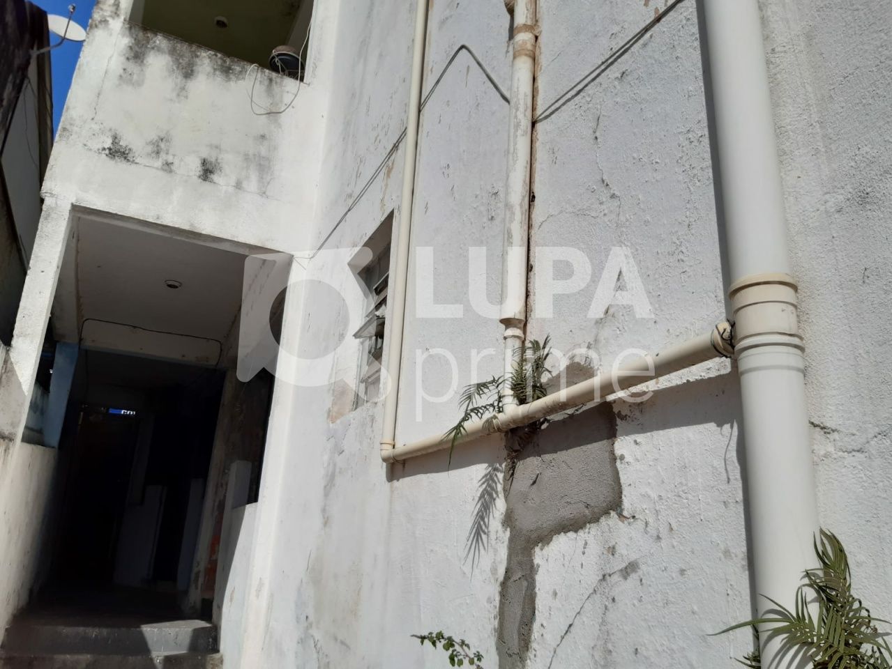 casa-terrea-venda-sao-paulo-vila-gustavo-1dormitorio-232m2-LS37277