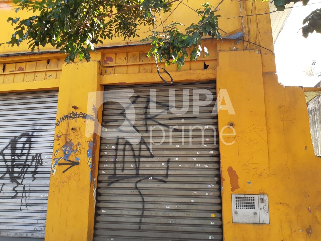 casa-terrea-venda-sao-paulo-vila-gustavo-1dormitorio-232m2-LS37277