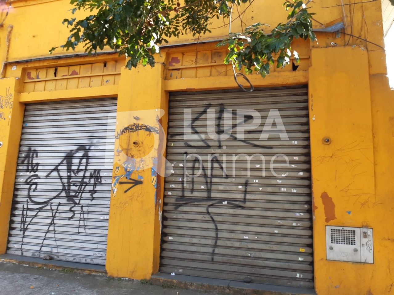 casa-terrea-venda-sao-paulo-vila-gustavo-1dormitorio-232m2-LS37277