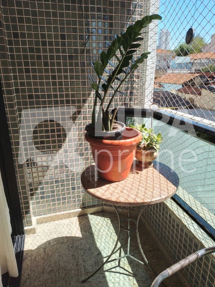 apartamento-venda-sao-paulo-chacara-inglesa-3dormitorios-1suite-2vagas-134m2-LS37292