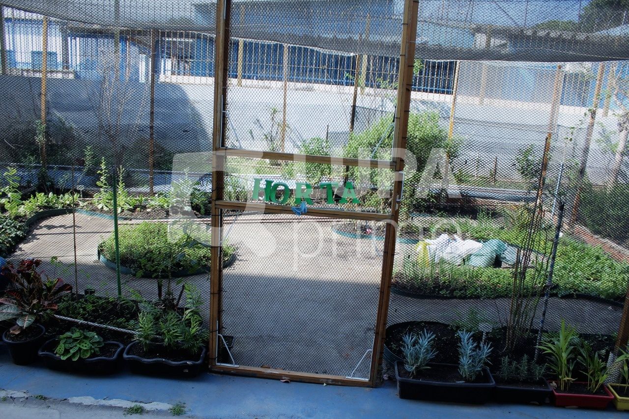 apartamento-venda-sao-paulo-jacana-cruzeiro-3dormitorios-1vaga-76m2-LS37322