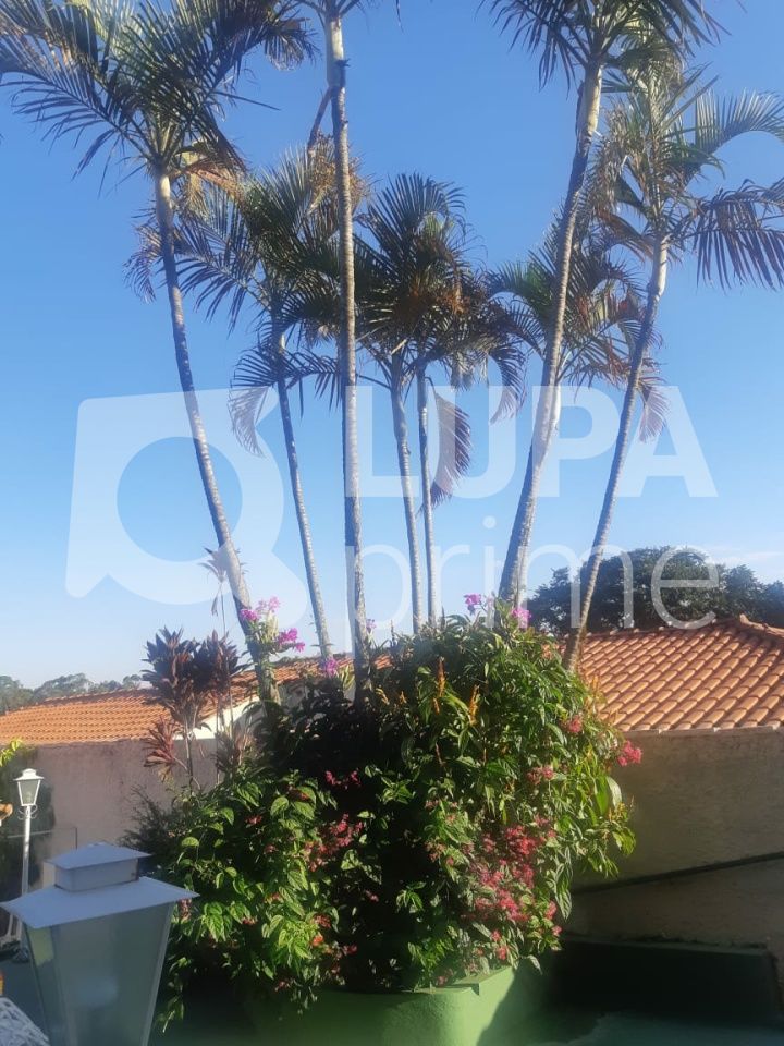 sobrado-venda-sao-paulo-jardim-pedra-branca-5dormitorios-2vagas-120m2-LS37452