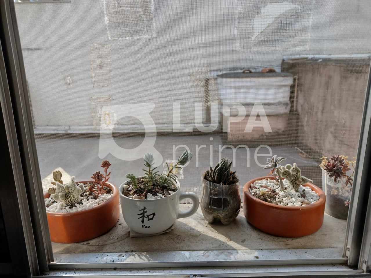 sobrado-venda-sao-paulo-santana-3dormitorios-2vagas-89m2-LS37475