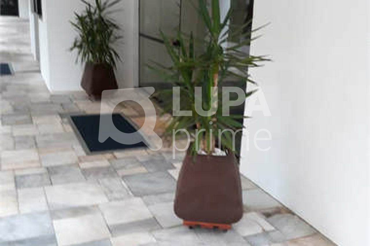 apartamento-venda-sao-paulo-parque-mandaqui-2dormitorios-1vaga-50m2-LS37570