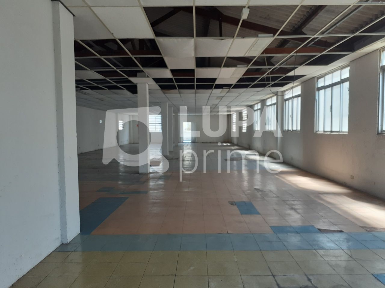 Prédio Inteiro, 1665 m² - Foto 37