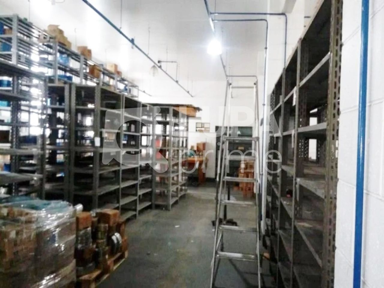 predio-venda-sao-paulo-casa-verde-media-1648m2-LS37723