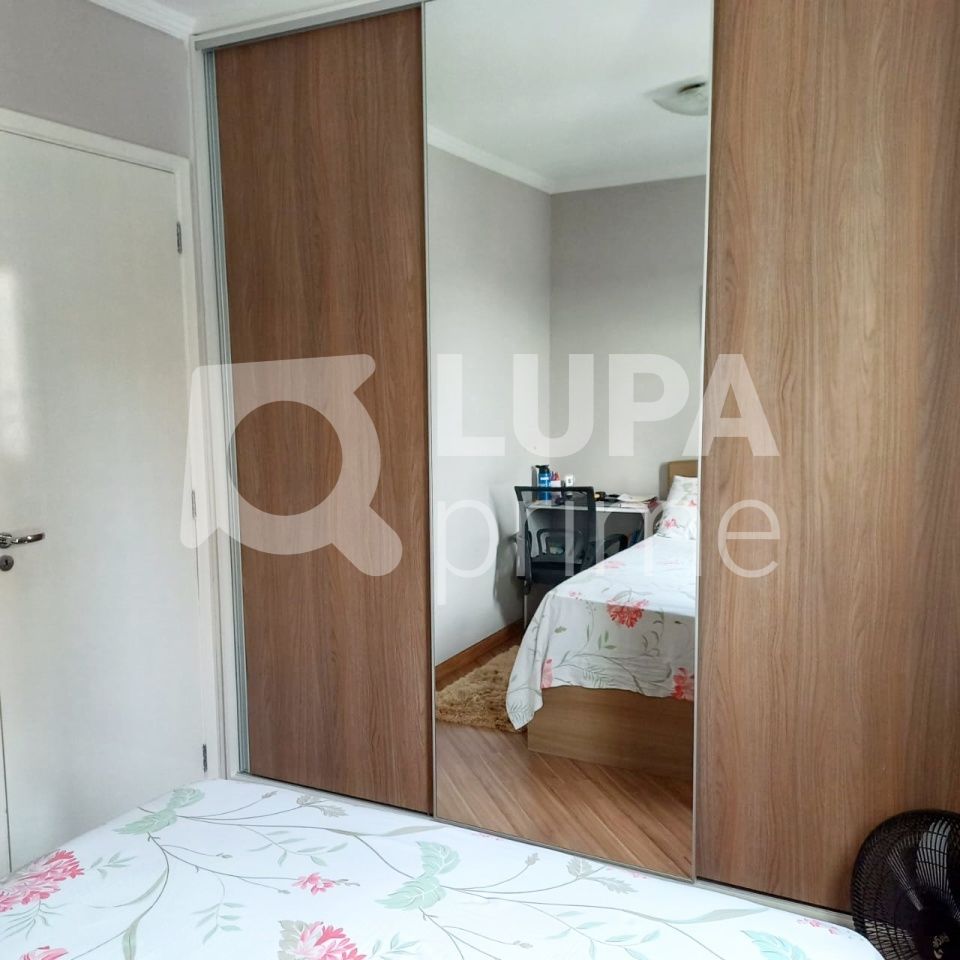 apartamento-venda-sao-paulo-vila-santa-maria-2dormitorios-1vaga-66m2-LS37757