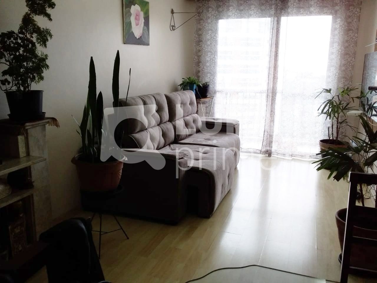 apartamento-venda-sao-paulo-santana-3dormitorios-1suite-1vaga-78m2-LS37825