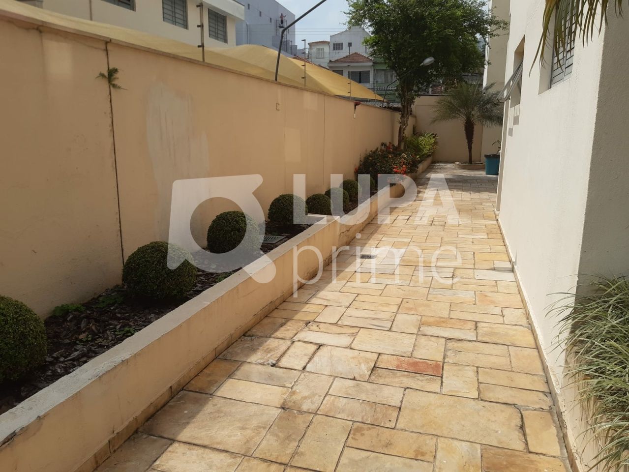 apartamento-venda-sao-paulo-santana-3dormitorios-1vaga-70m2-LS37833