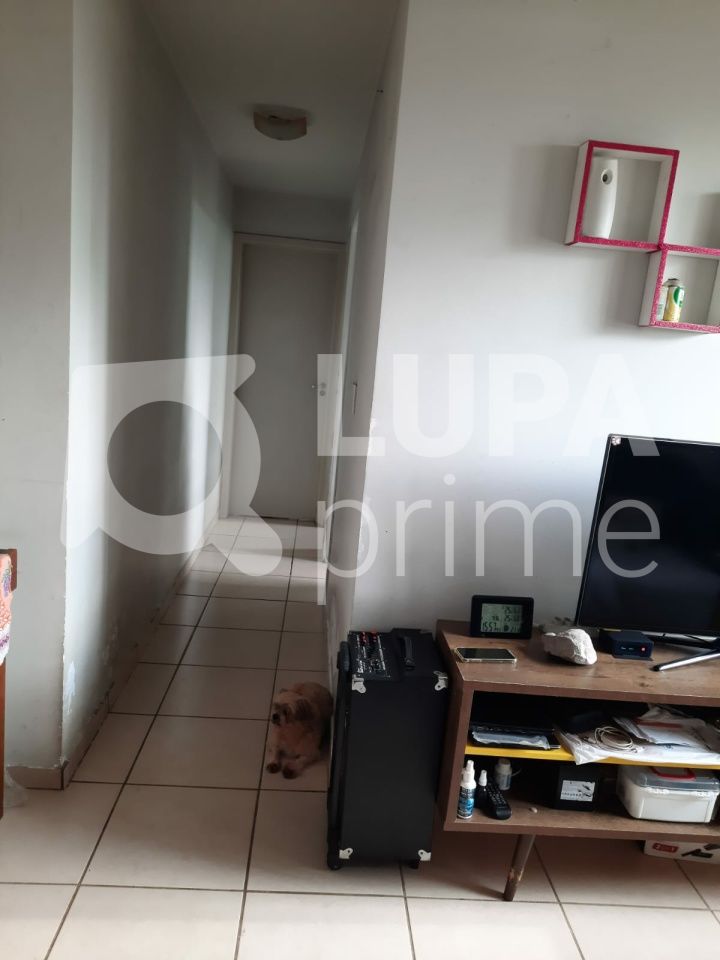 apartamento-venda-sao-paulo-parque-novo-mundo-2dormitorios-1vaga-54m2-LS37851