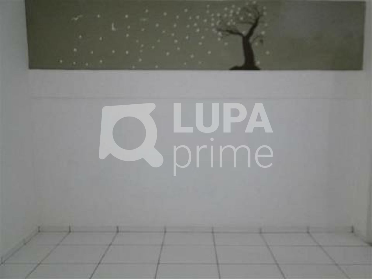 terreno-venda-sao-paulo-lauzane-paulista-186m2-LS38058