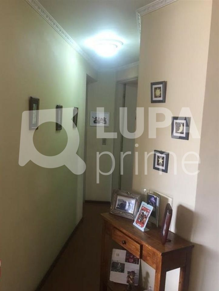 apartamento-venda-sao-paulo-santa-teresinha-3dormitorios-1suite-1vaga-74m2-LS38222