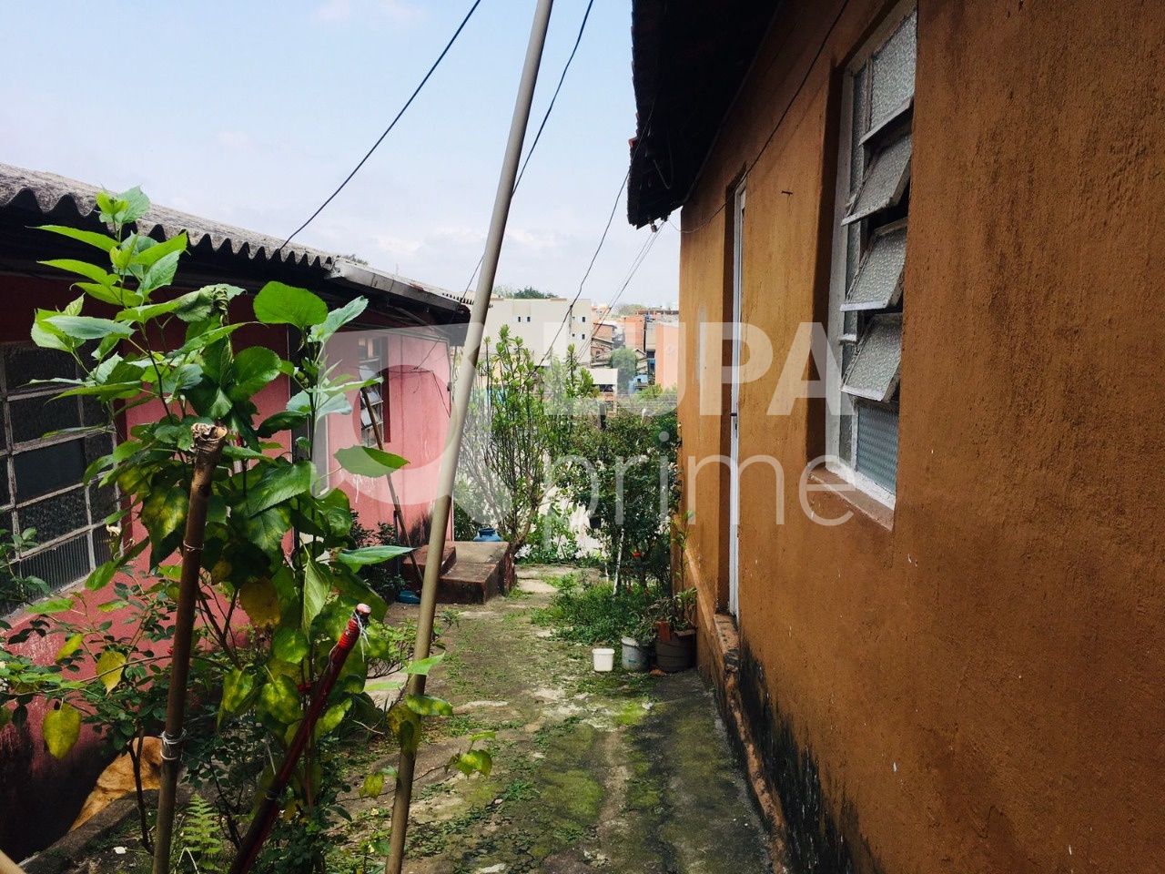 casa-terrea-venda-sao-paulo-parque-peruche-6dormitorios-8vagas-300m2-LS38228