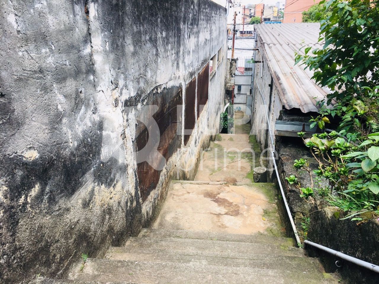 casa-terrea-venda-sao-paulo-parque-peruche-6dormitorios-8vagas-300m2-LS38228