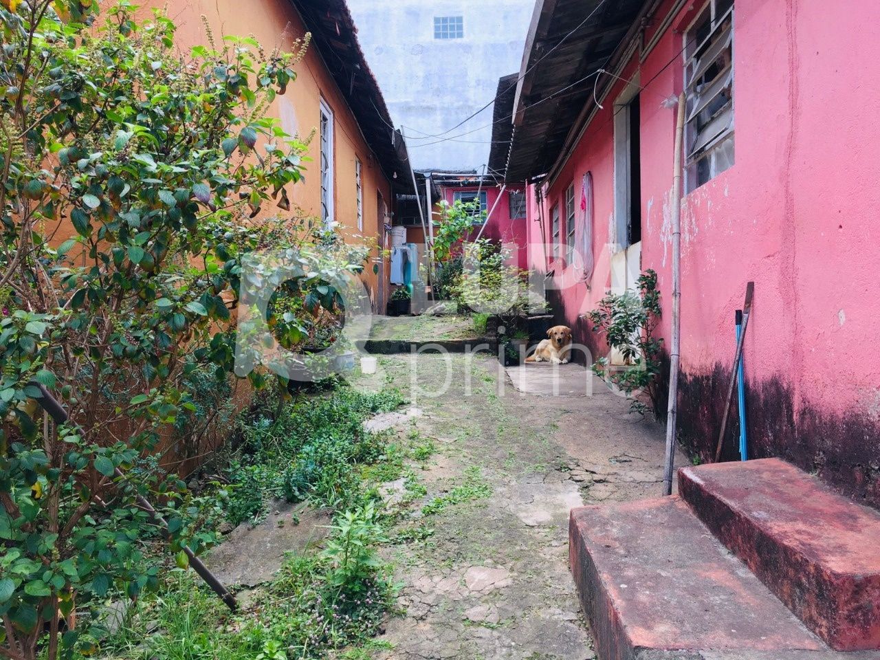 casa-terrea-venda-sao-paulo-parque-peruche-6dormitorios-8vagas-300m2-LS38228