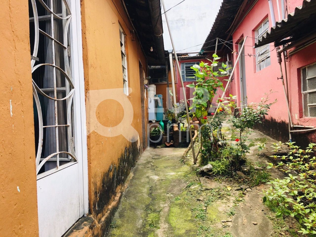 casa-terrea-venda-sao-paulo-parque-peruche-6dormitorios-8vagas-300m2-LS38228