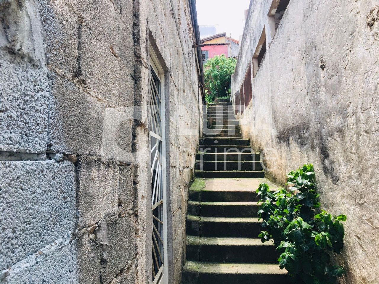 casa-terrea-venda-sao-paulo-parque-peruche-6dormitorios-8vagas-300m2-LS38228