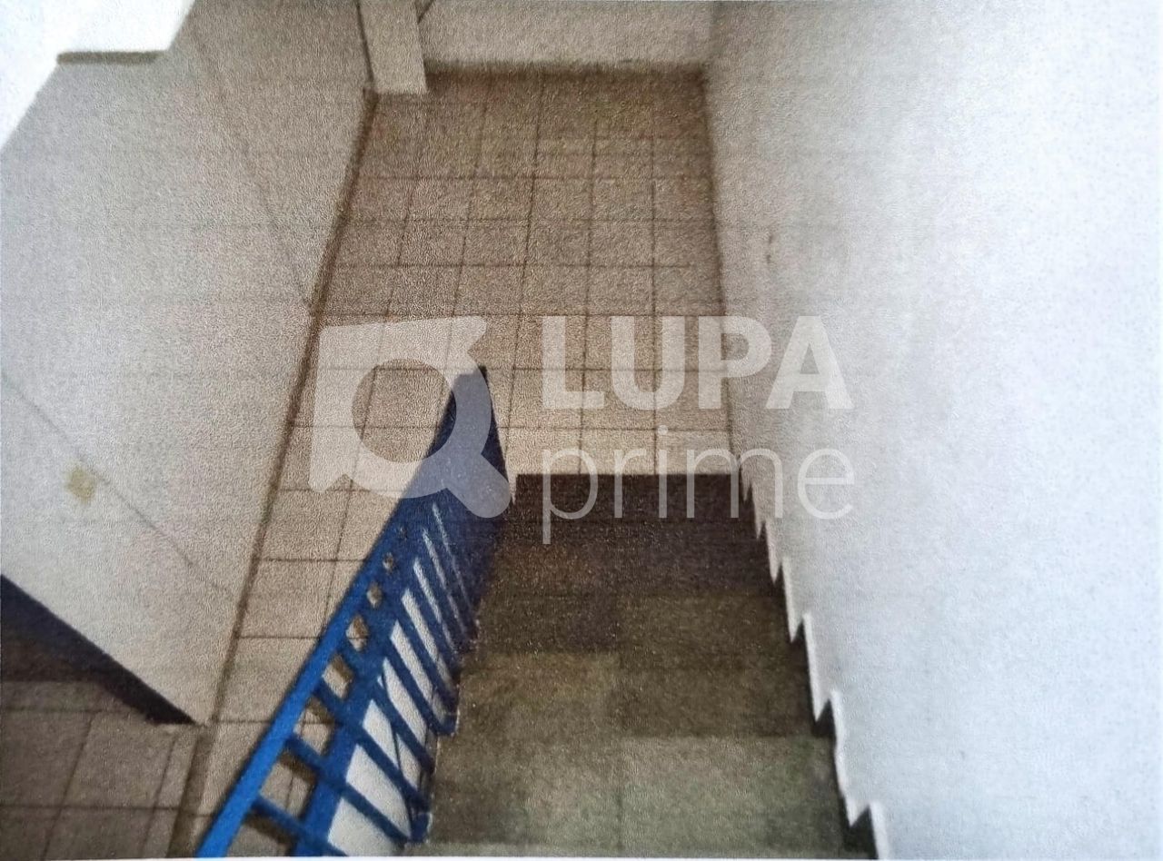 sobrado-venda-sao-paulo-parada-inglesa-10dormitorios-5vagas-459m2-LS38237