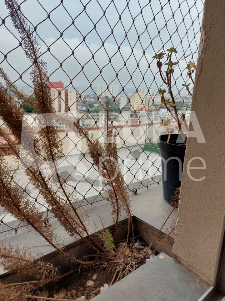 apartamento-venda-sao-paulo-imirim-2dormitorios-1suite-2vagas-59m2-LS38369