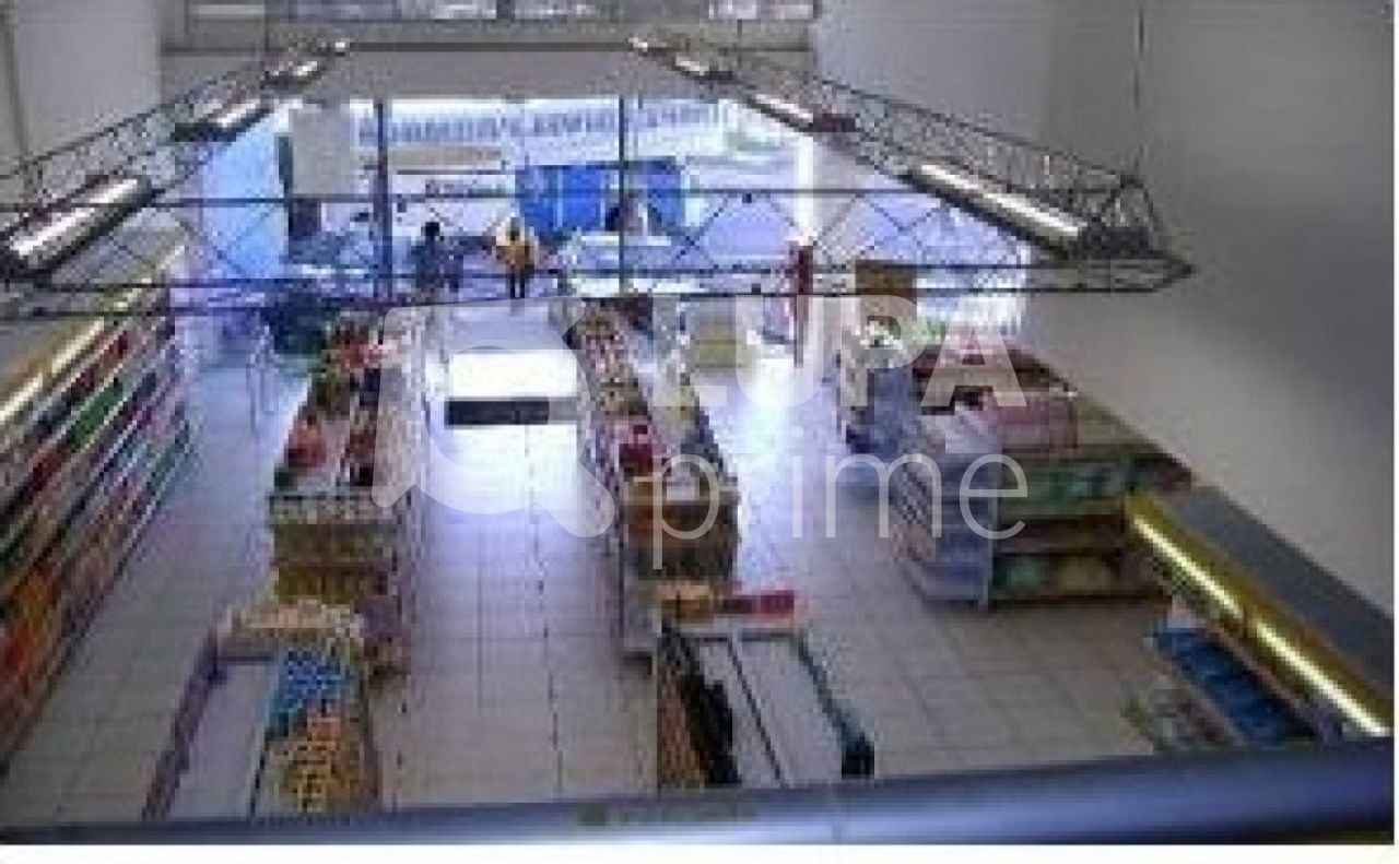 predio-locacao-sao-paulo-tucuruvi-15vagas-1600m2-LS3846