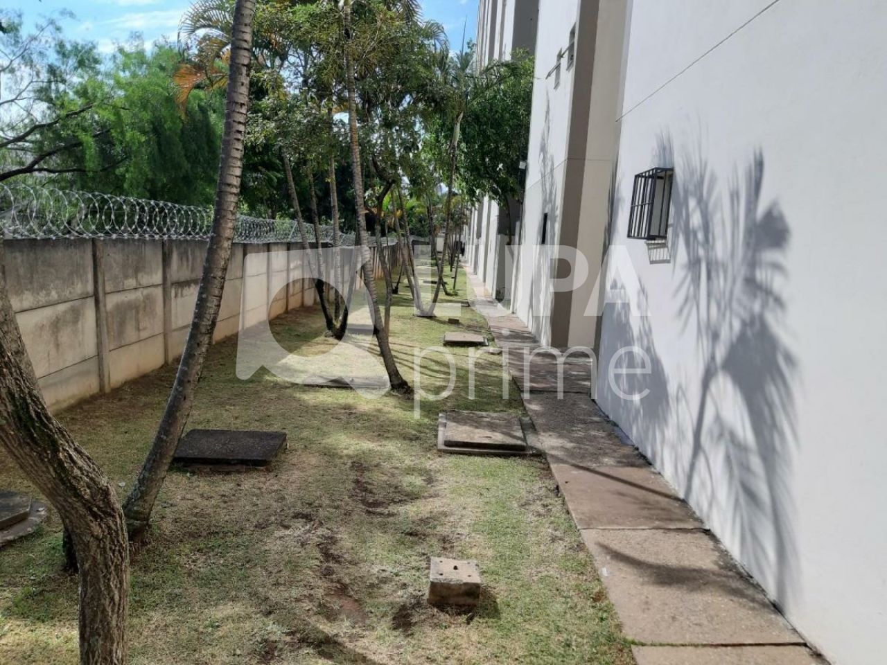 apartamento-venda-sao-paulo-vila-dionisia-2dormitorios-1vaga-50m2-LS38509