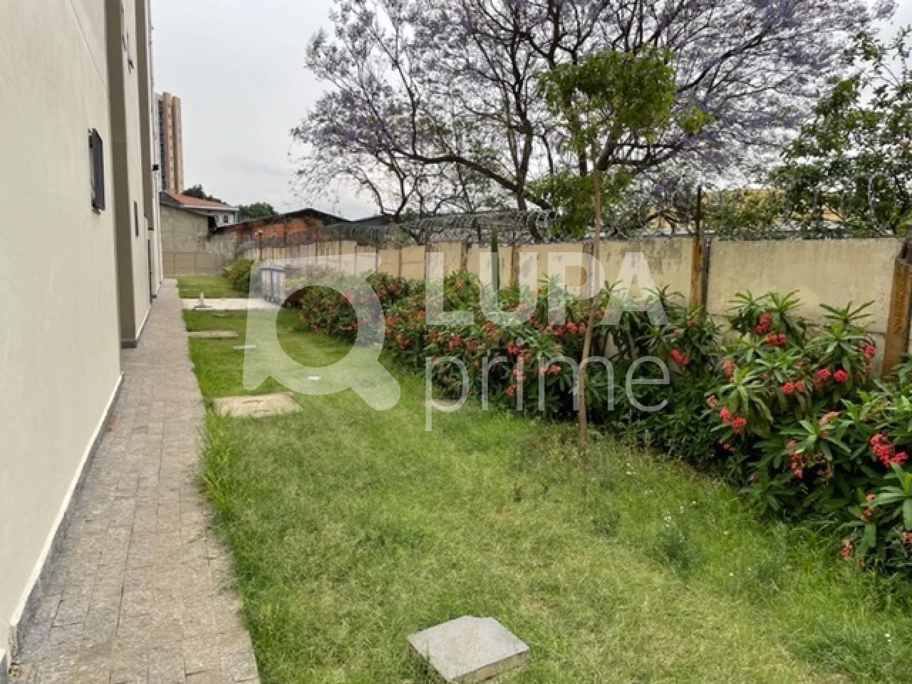 apartamento-venda-sao-paulo-vila-dionisia-2dormitorios-1vaga-50m2-LS38509