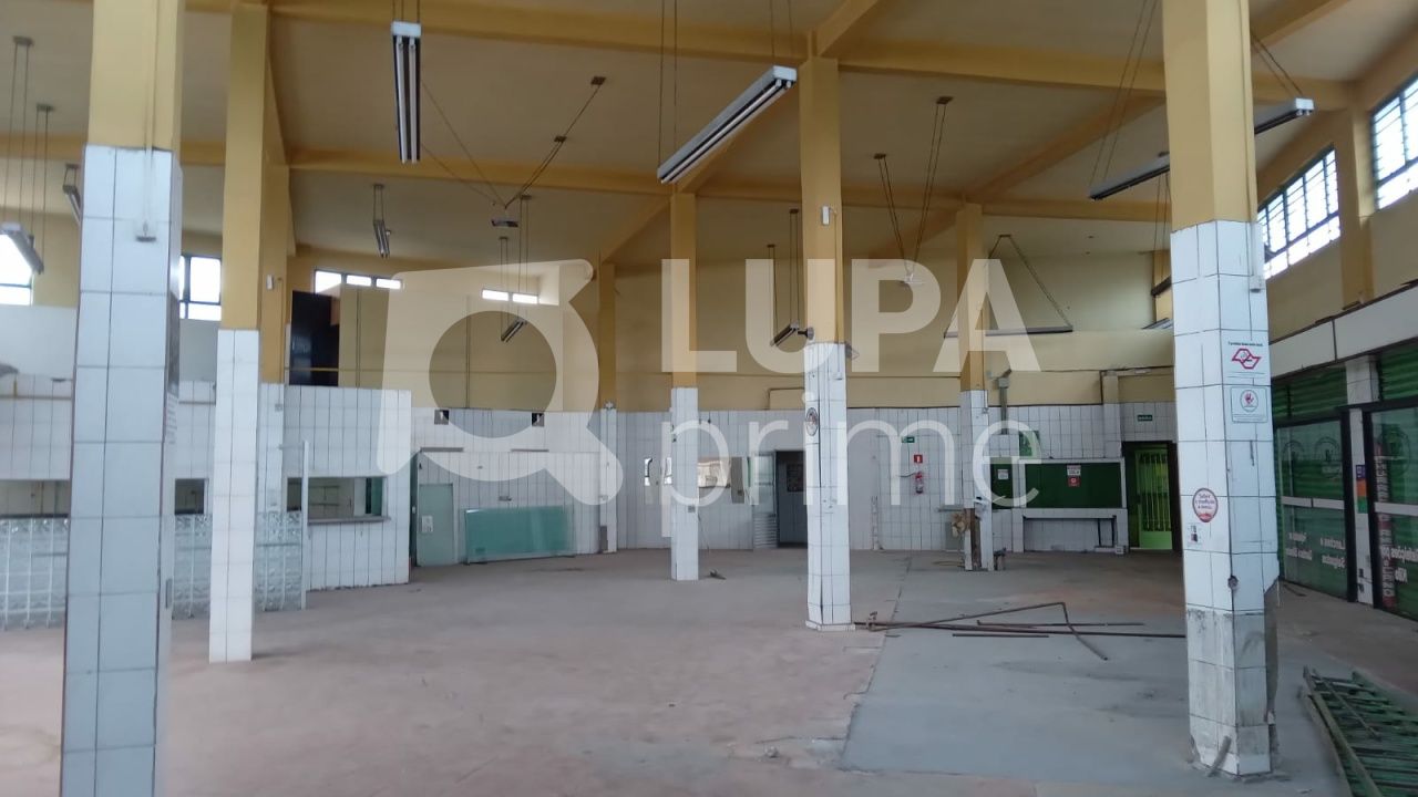 Prédio Inteiro à venda, 522m² - Foto 4