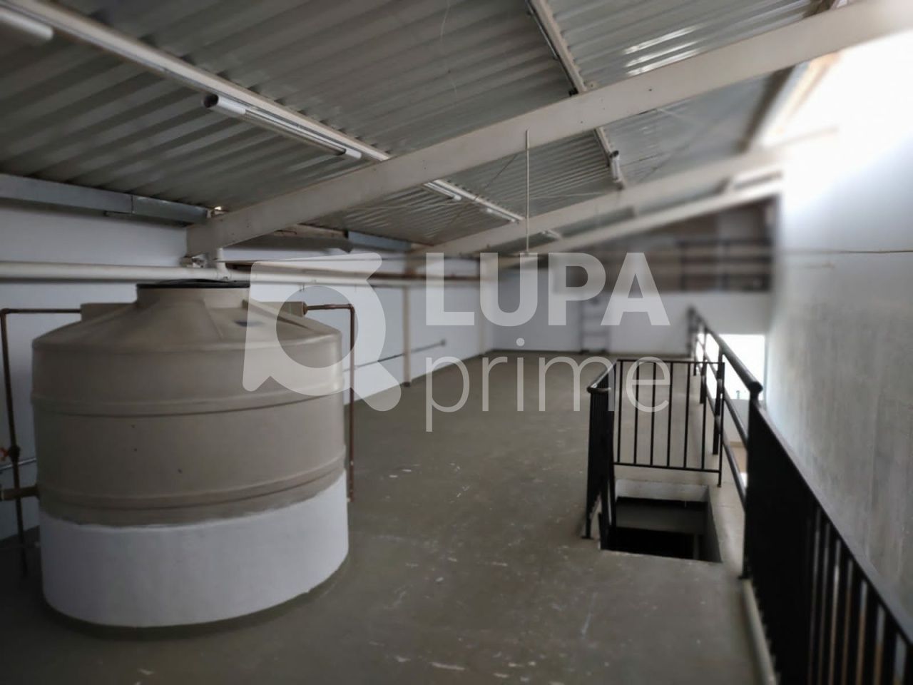 galpao-locacao-sao-paulo-vila-ipojuca-360m2-LS38553