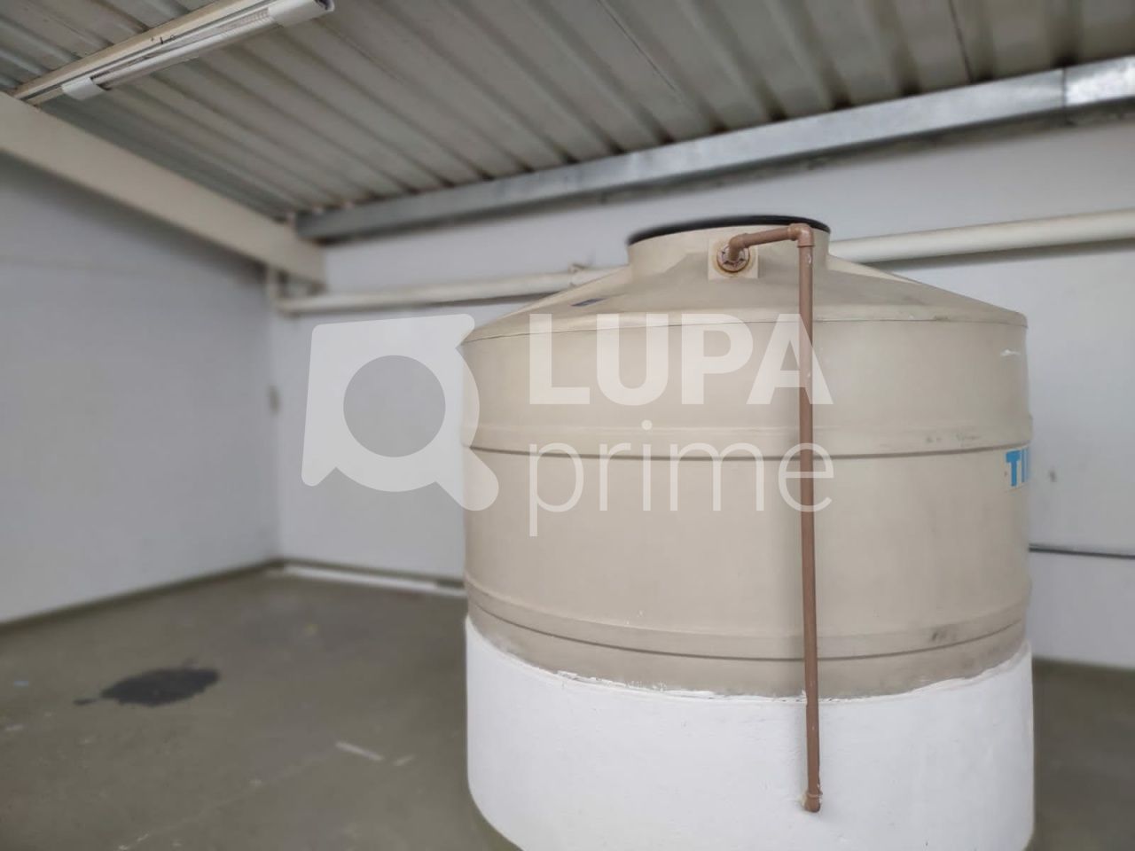 galpao-locacao-sao-paulo-vila-ipojuca-360m2-LS38553