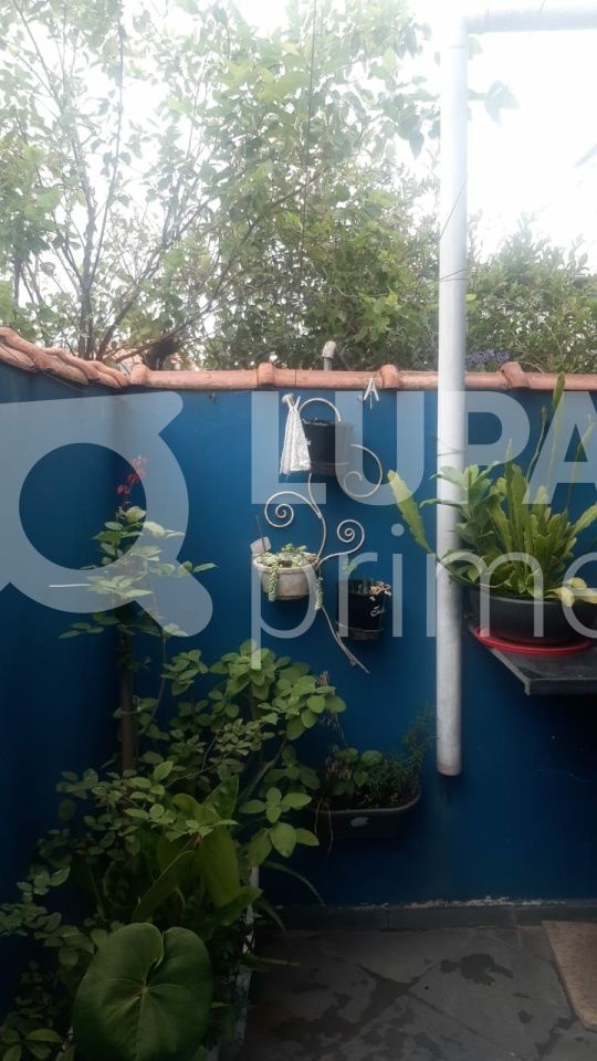 sobrado-venda-sao-paulo-vila-nova-mazzei-4dormitorios-4suites-2vagas-114m2-LS38574