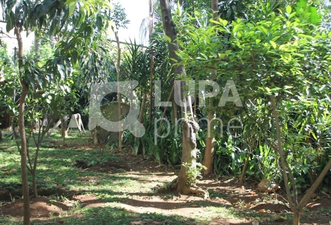 apartamento-venda-sao-paulo-santana-2dormitorios-88m2-LS38634