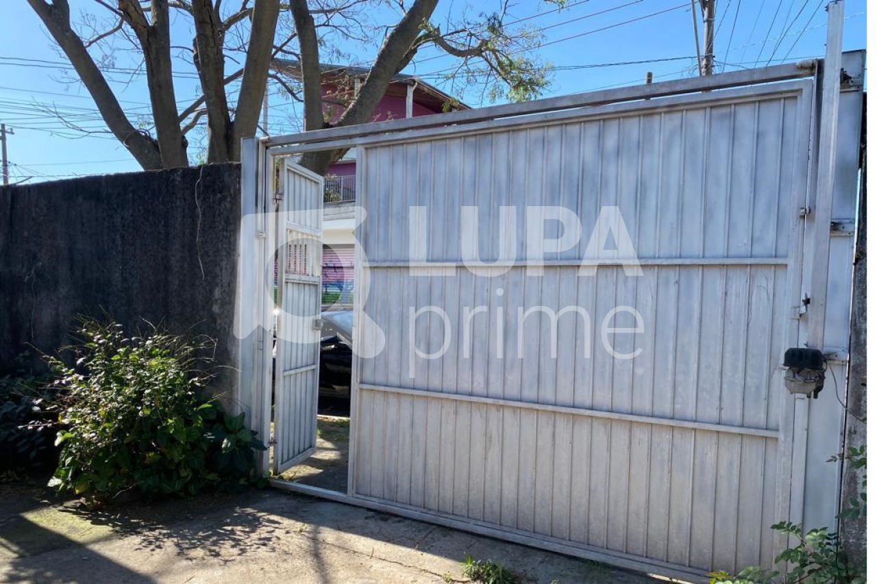 terreno-venda-sao-paulo-vila-nova-cachoeirinha-260m2-LS38719