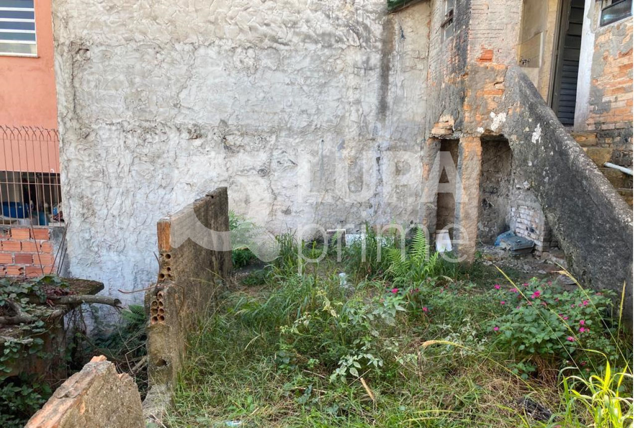 terreno-venda-sao-paulo-vila-nova-cachoeirinha-260m2-LS38719