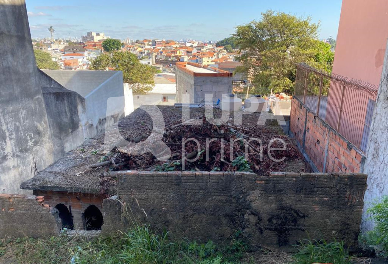 terreno-venda-sao-paulo-vila-nova-cachoeirinha-260m2-LS38719