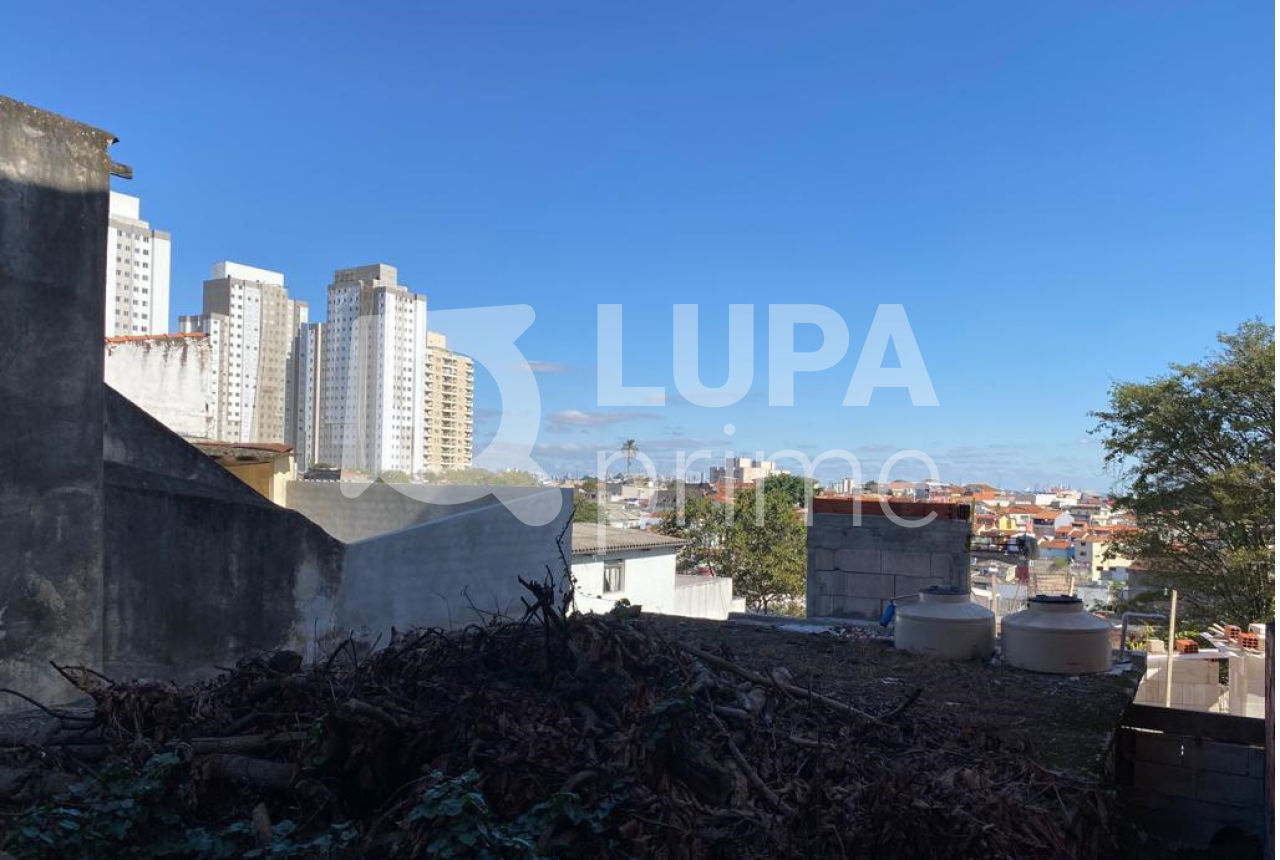 terreno-venda-sao-paulo-vila-nova-cachoeirinha-260m2-LS38719