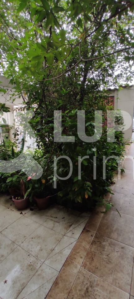 casa-terrea-venda-sao-paulo-jardim-sao-paulo-2dormitorios-152m2-LS38720