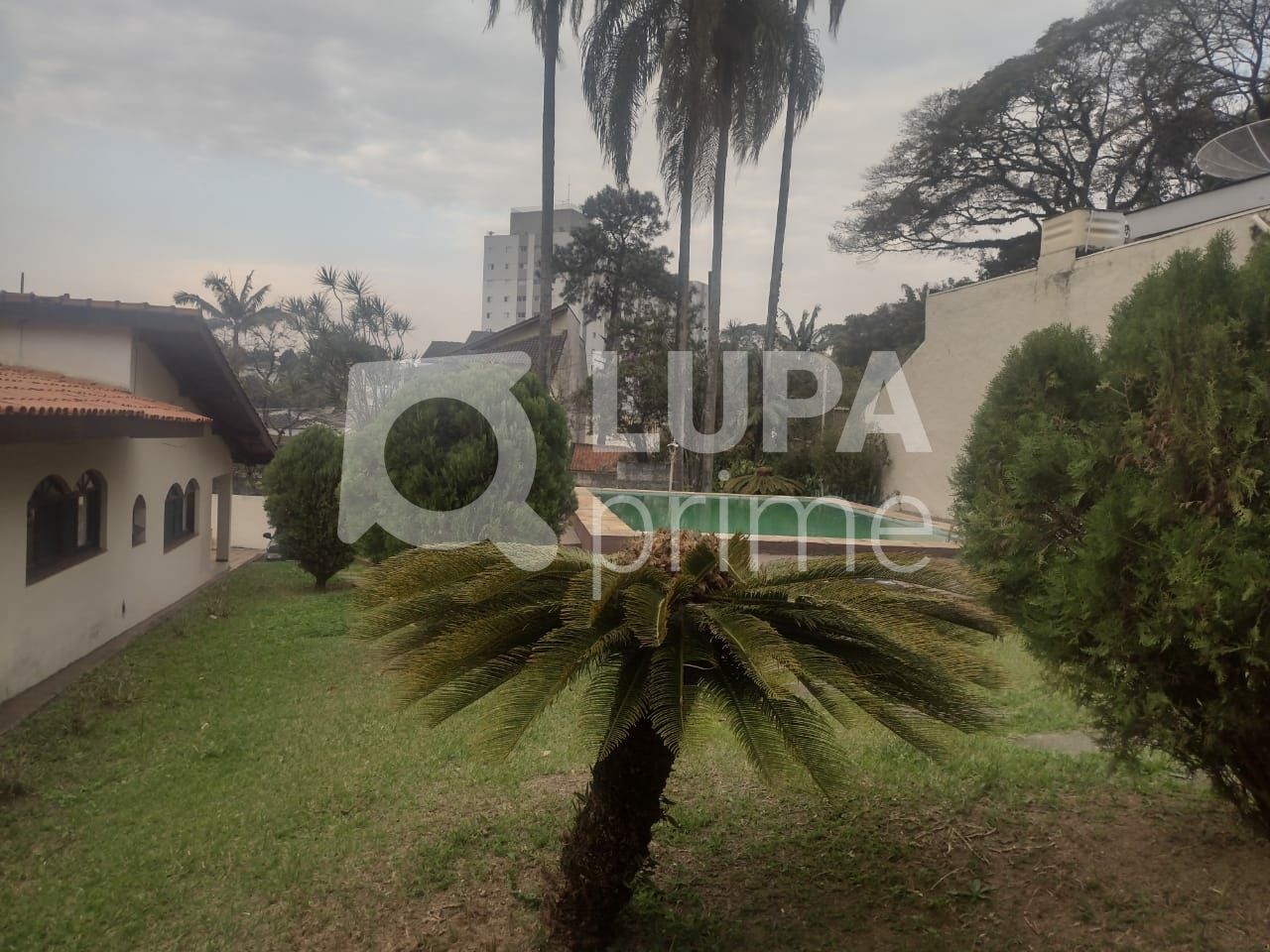 casa-terrea-venda-sao-paulo-vila-albertina-3dormitorios-3suites-6vagas-450m2-LS38774