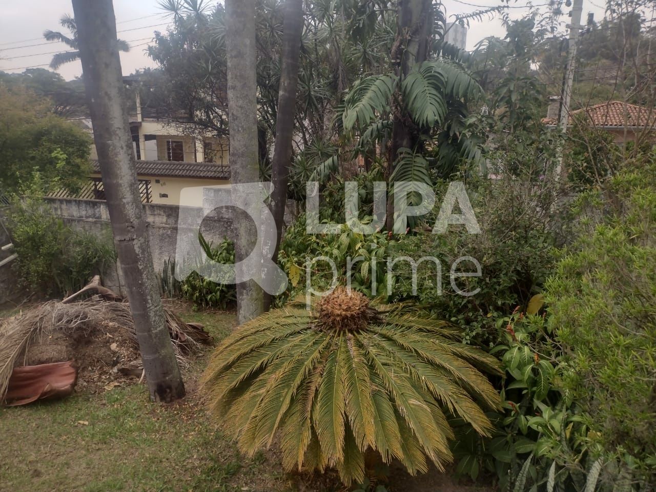 casa-terrea-venda-sao-paulo-vila-albertina-3dormitorios-3suites-6vagas-450m2-LS38774